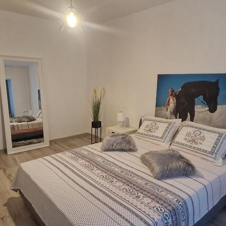 Apartament De Lux Крайова Екстер'єр фото