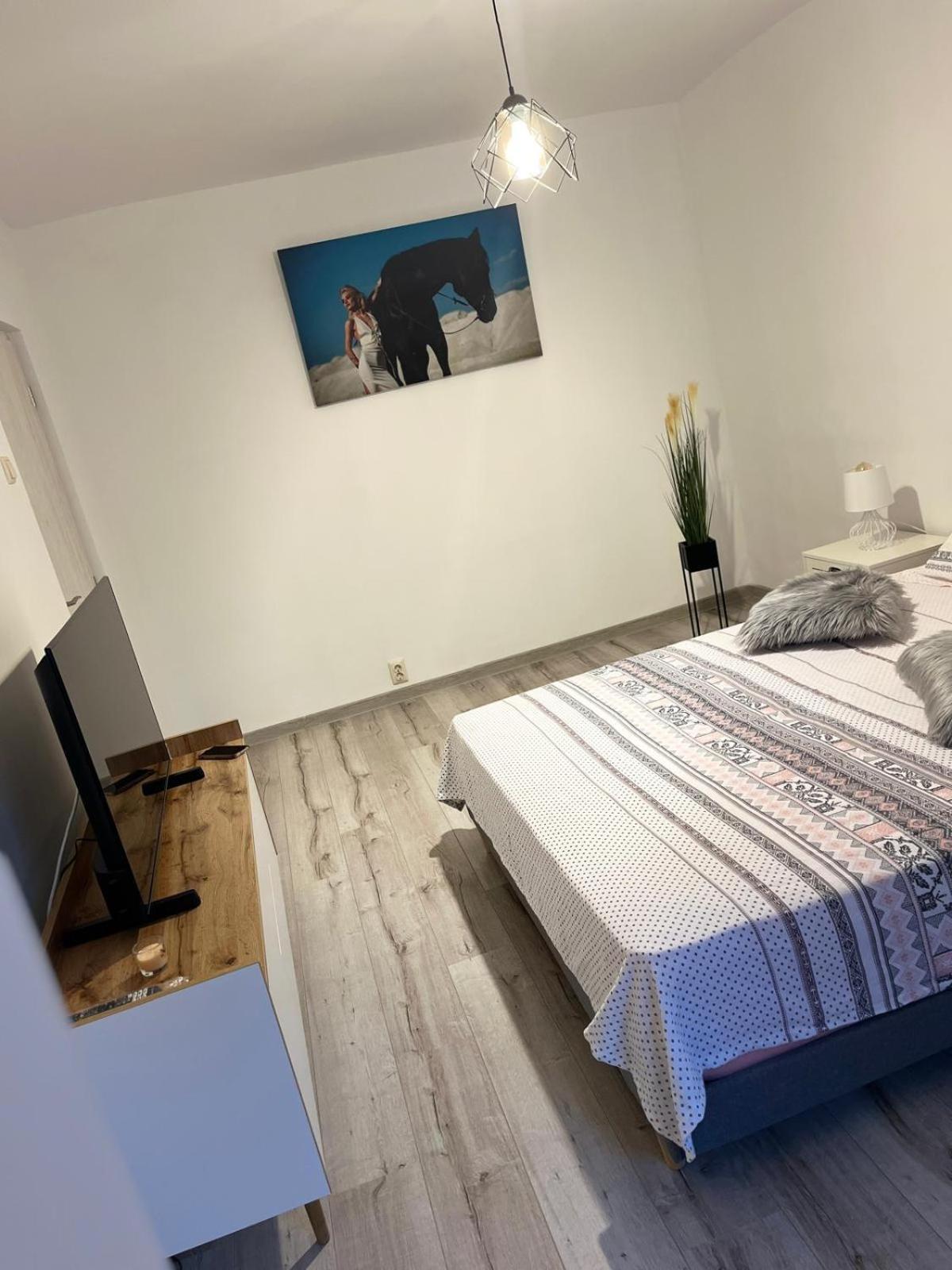 Apartament De Lux Крайова Екстер'єр фото