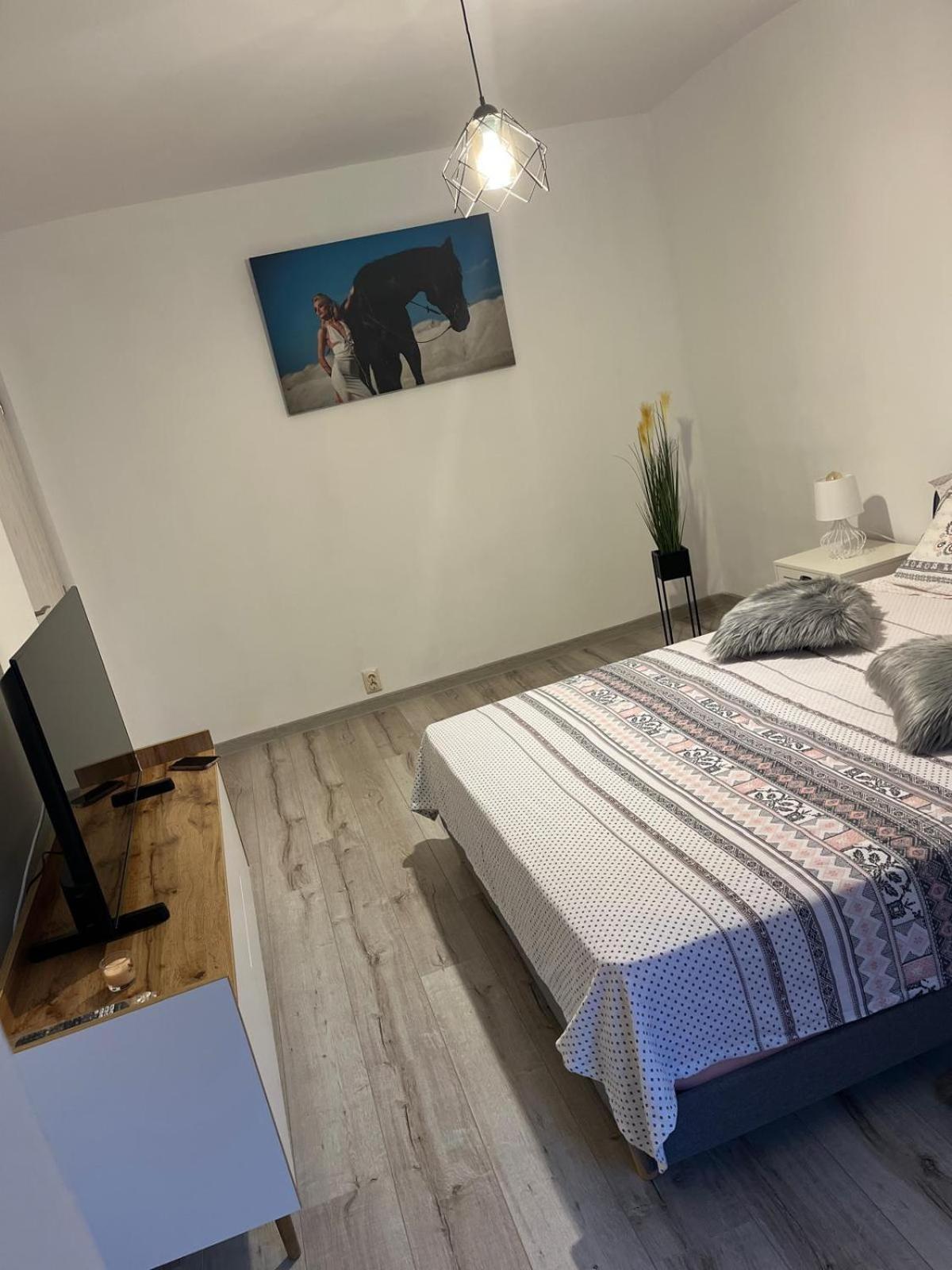 Apartament De Lux Крайова Екстер'єр фото